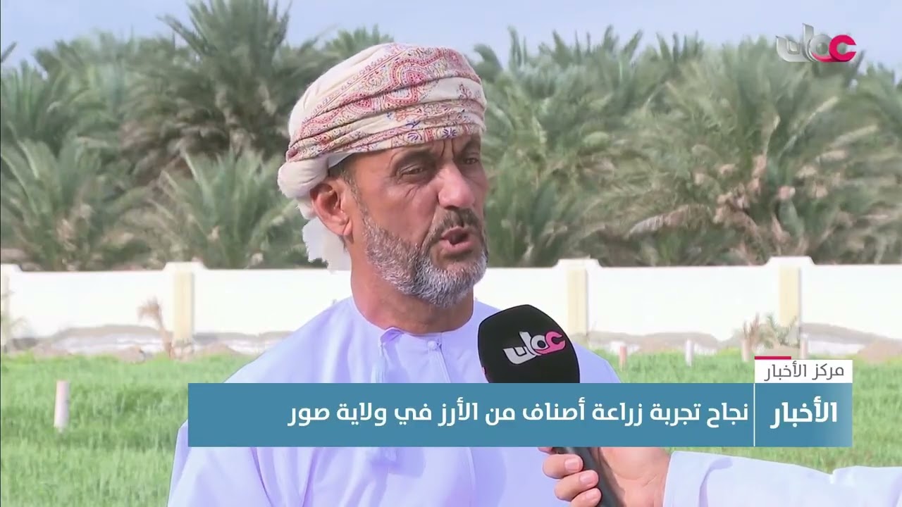 تقرير | نجاح تجربة زراعة أصناف من الأرز في ولاية صور