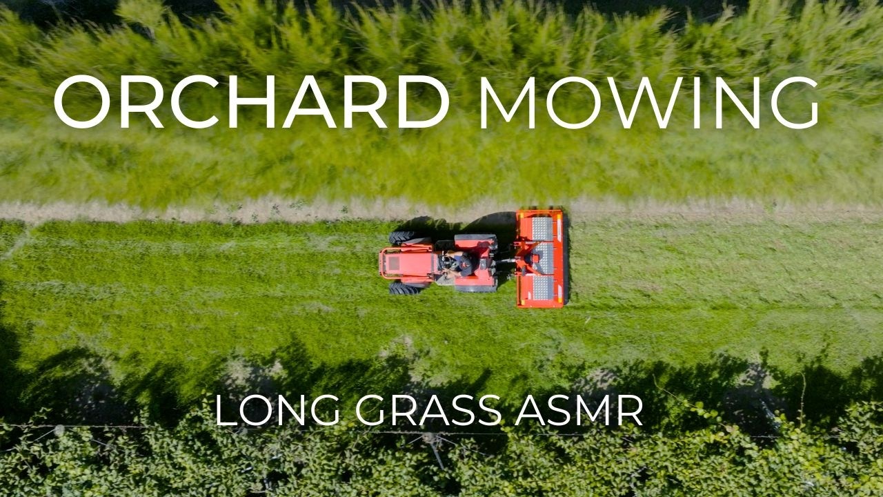 Satisfying Long Grass Mowing in a Kiwifruit Orchard (No Music) - Trimax ProCut S5 SR