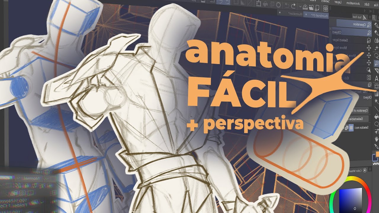 Desenhe qualquer ângulo! Anatomia & Perspectiva