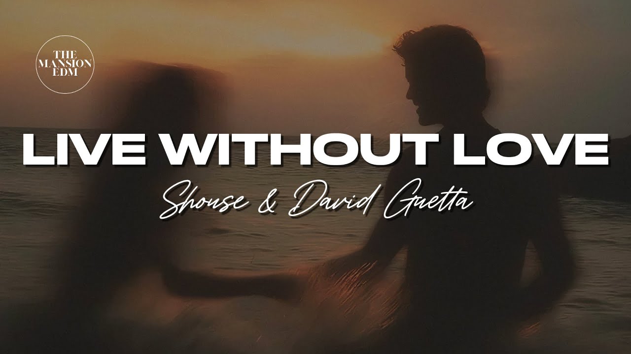 Shouse, David Guetta - Live Without Love (Lyrics)