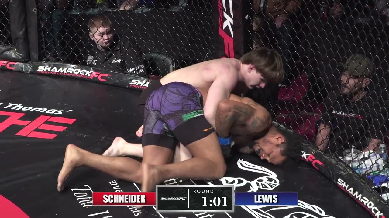 Norman Schneider vs Daniel Lewis