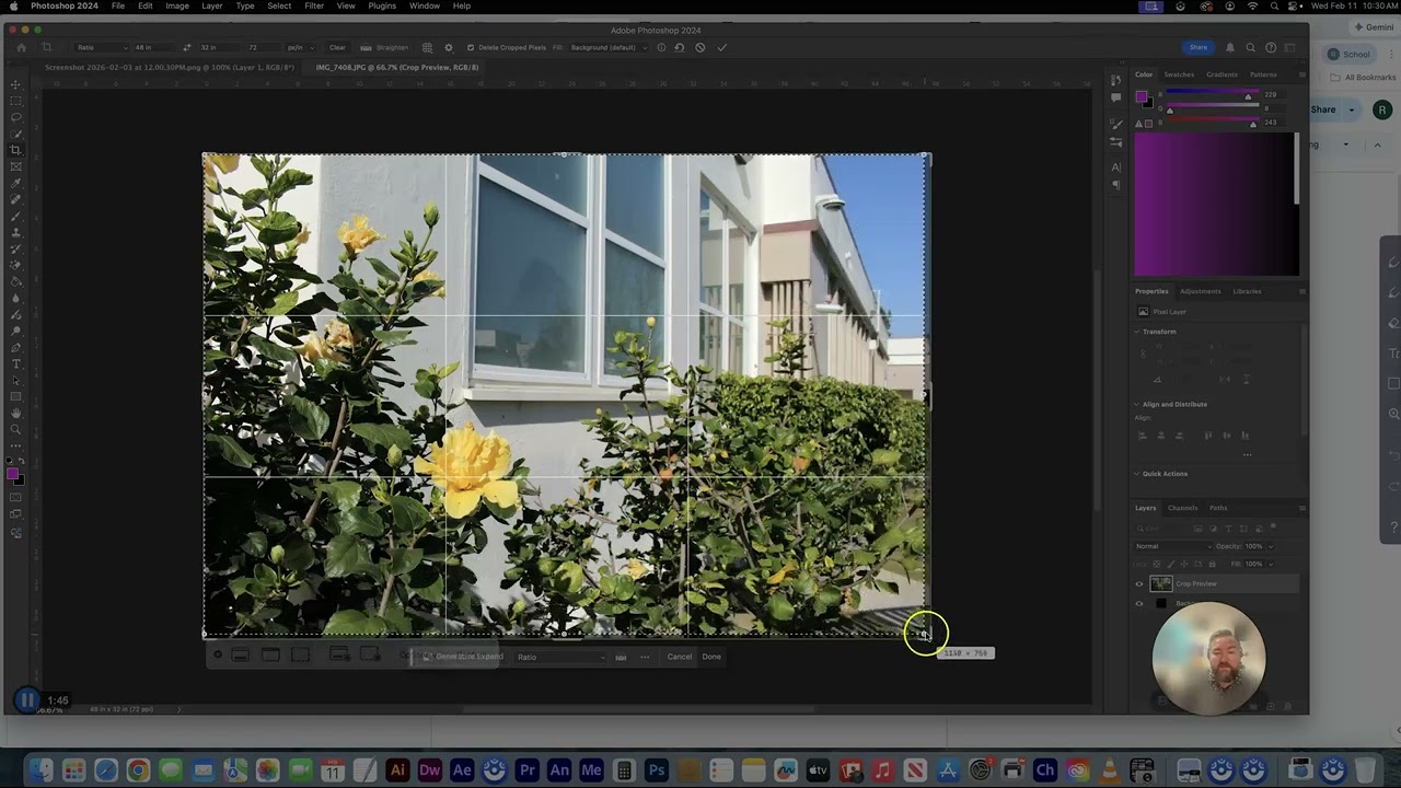 Adding grid lines in Photoshop