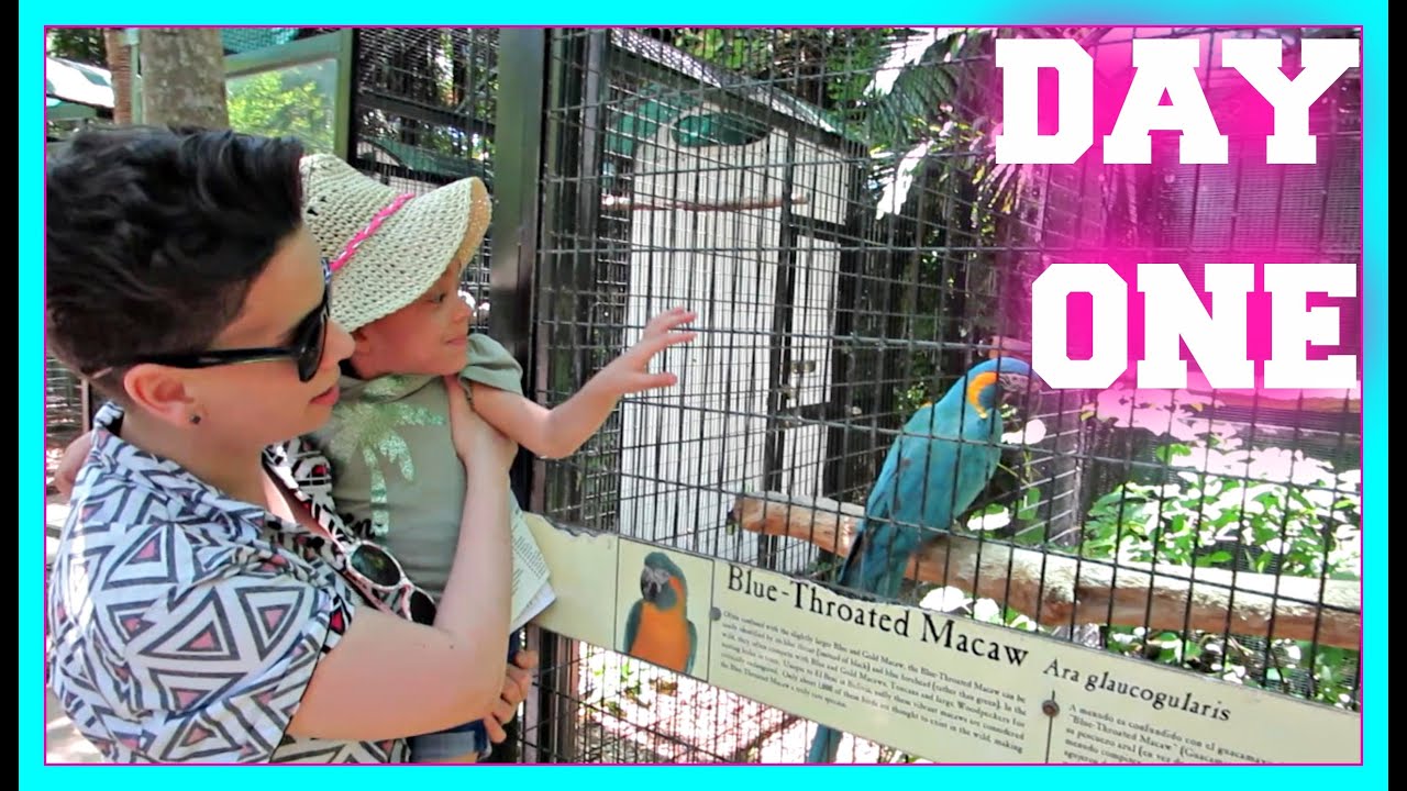 Miami Family Trip | Day 1