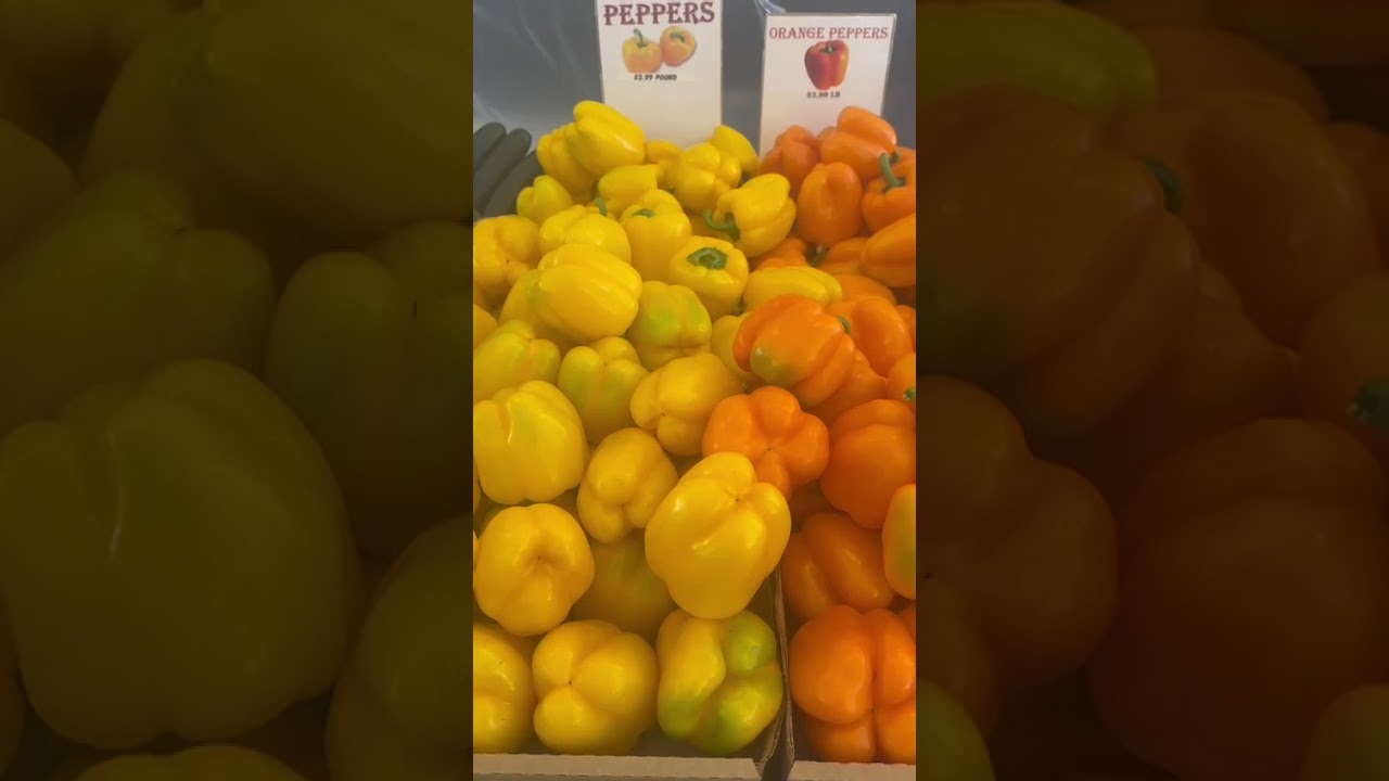 Life Unfiltered | Real Moments From My Daily Life