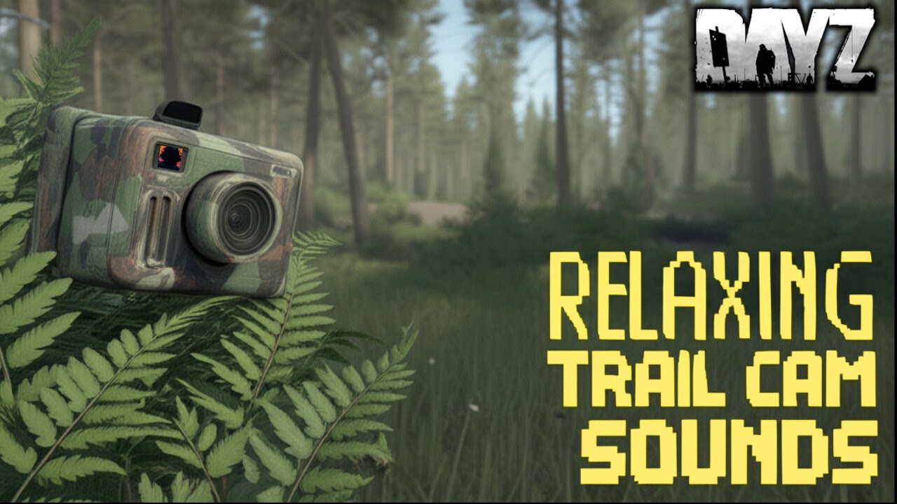 This Trail Cam Captured the Most Relaxing DayZ Forest!