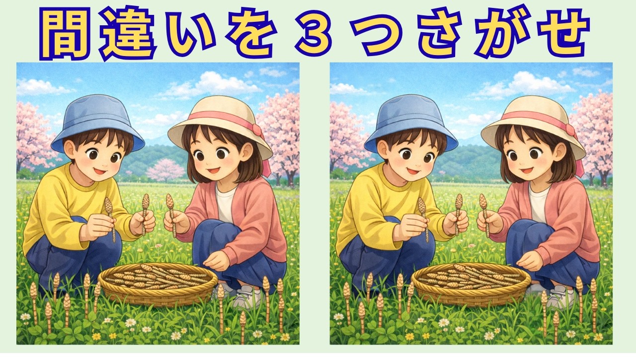 【脳トレ間違い探し】脳の若返りに効果的‼観察力アップ‼　間違い探し#013