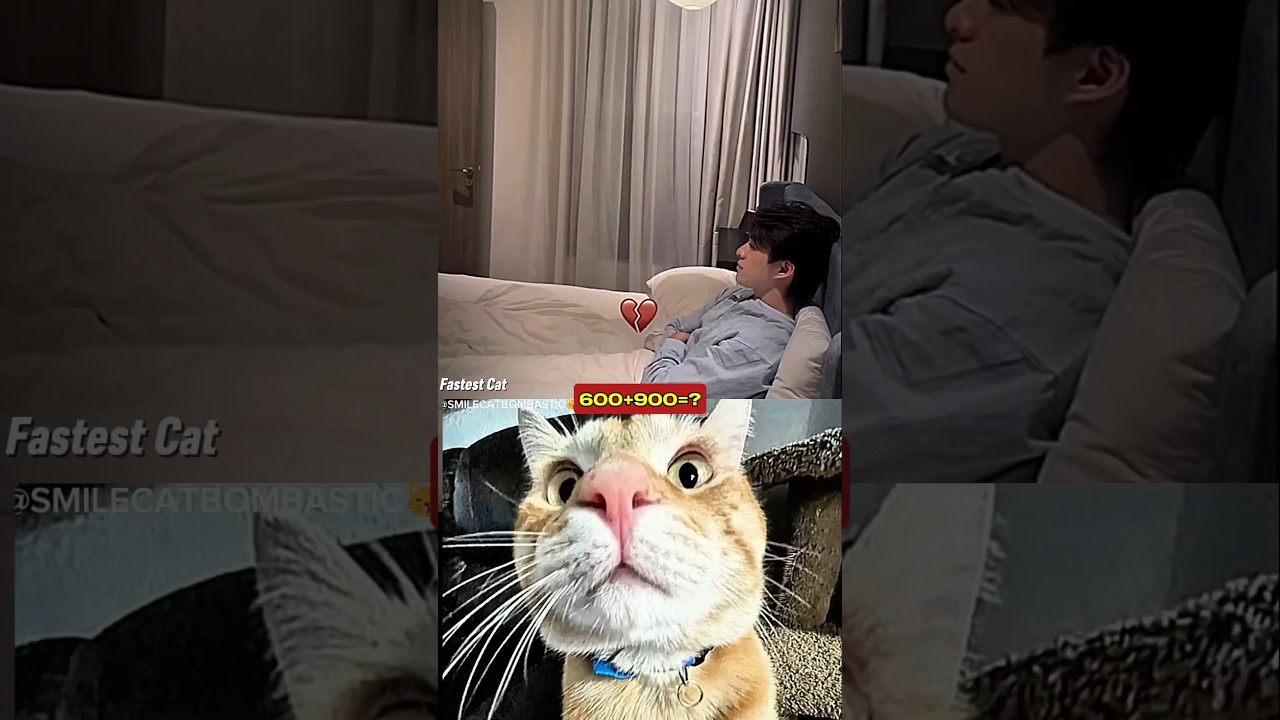 DAY - 4 Money Power Aura ☠️#funny #cat #dance
