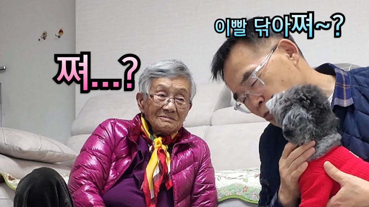 사위 반려견을 처음 본 93세 할머니ㅋㅋㅋㅋㅋㅋㅋ