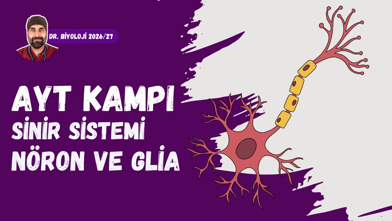 Sinir Sistemi Nöron ve Glialar | Dr. Biyoloji | AYT Dönem 2026 - 2027
