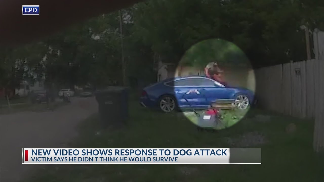 New video shows response to dog attack