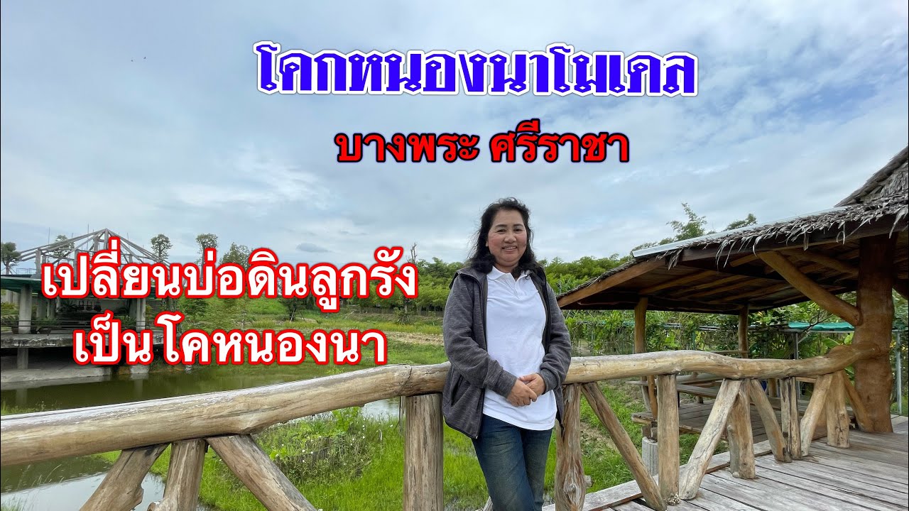 โคกหนองนาโมเดล@ต.บางพระ | เกษตรผสมผสาน | โคกหนองนา | บ่าวยุทธพาจ้วด | ศรีราชา