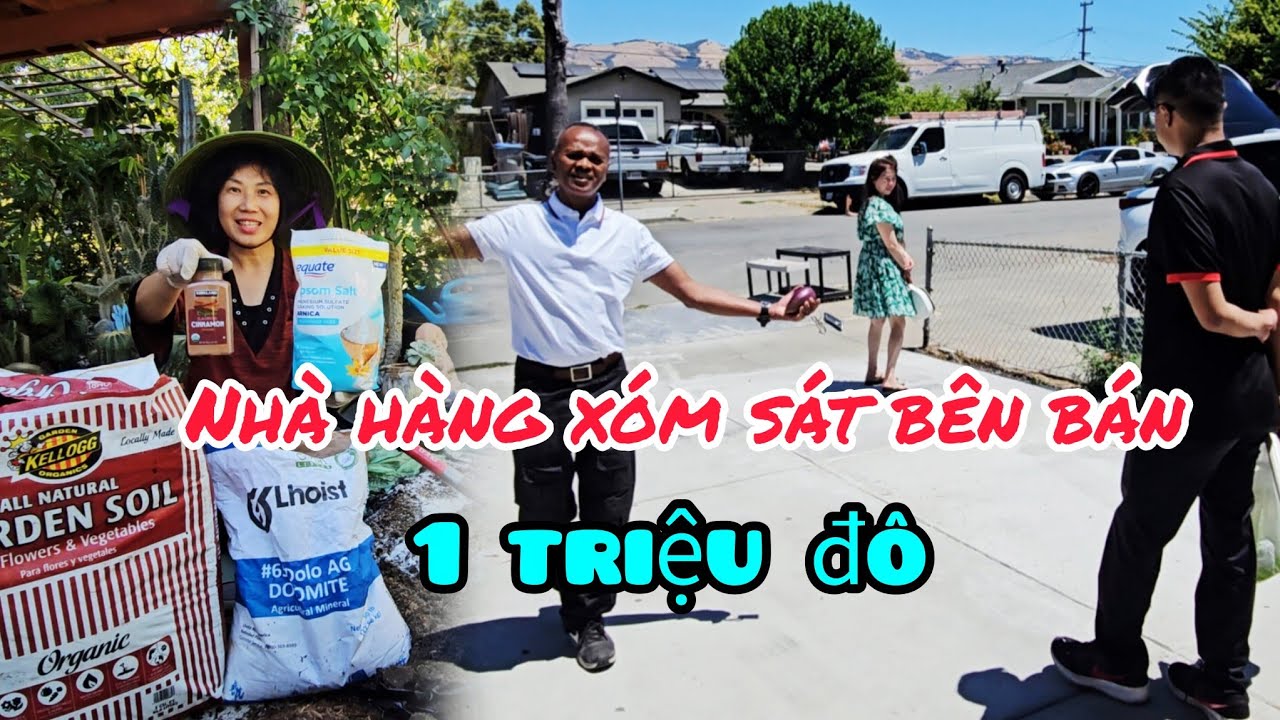 Bán nhà gần một triệu đô sát bên nhà Thảo. Cách bón đất cho cây ra hoa đậu nhiều trái 