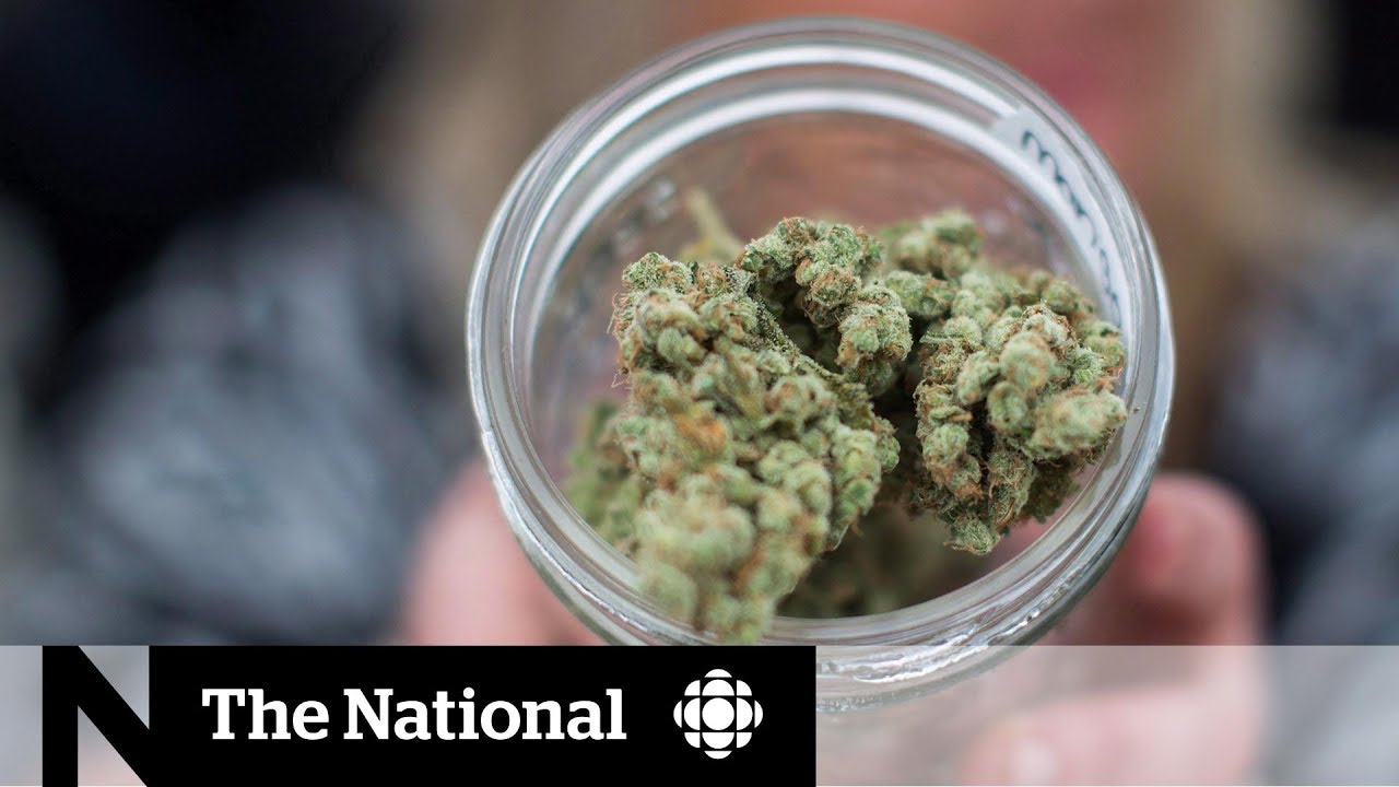Doug Ford's marijuana privatization plan scraps government-run stores