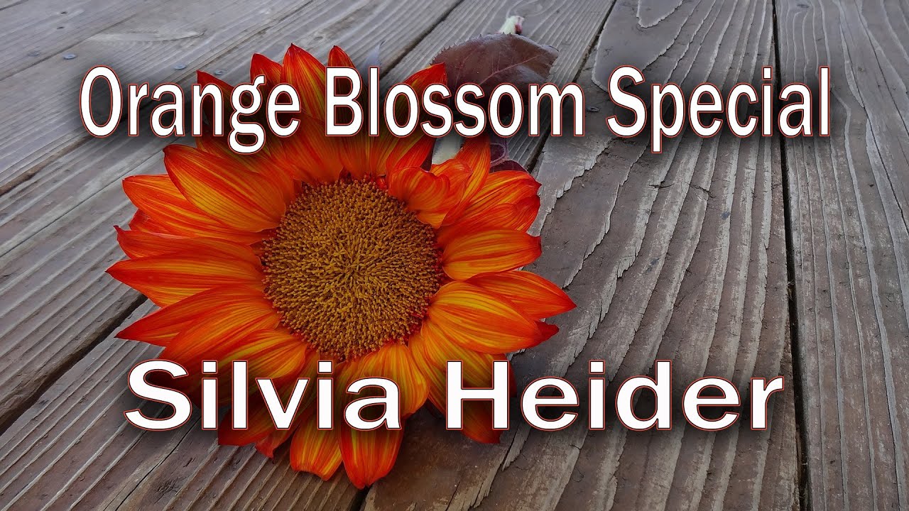 Orange Blossom Special