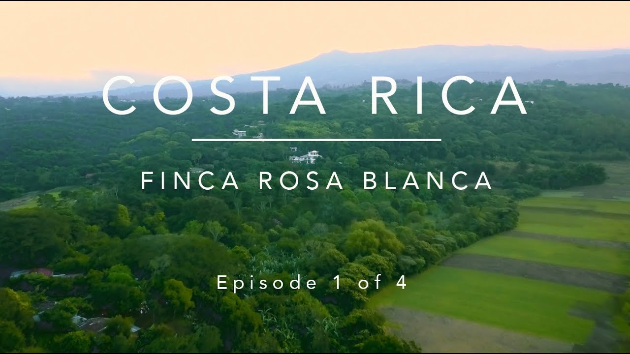 Finca Rosa Blanca Coffee Plantation. San Jose, Costa Rica, Episode 1 of 4