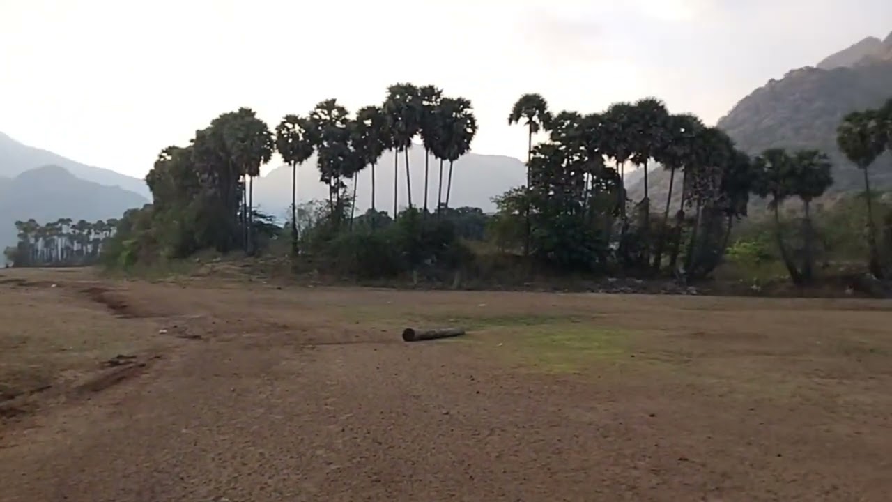 Kamarajar like 20.02.2026