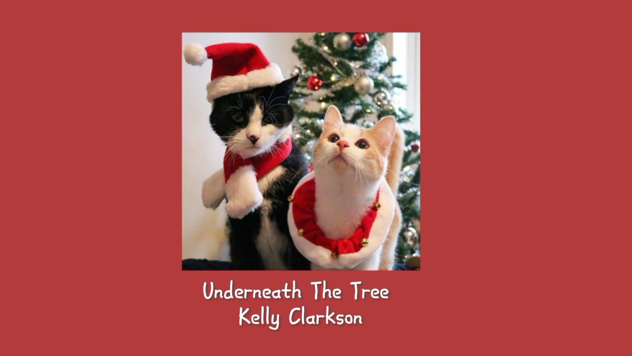 Christmas Playlist 🎄