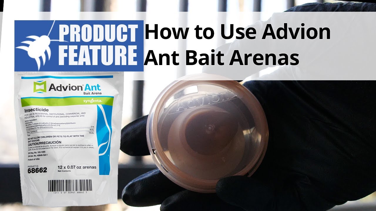 How to Use Advion Ant Bait Arenas | DoMyOwn.com