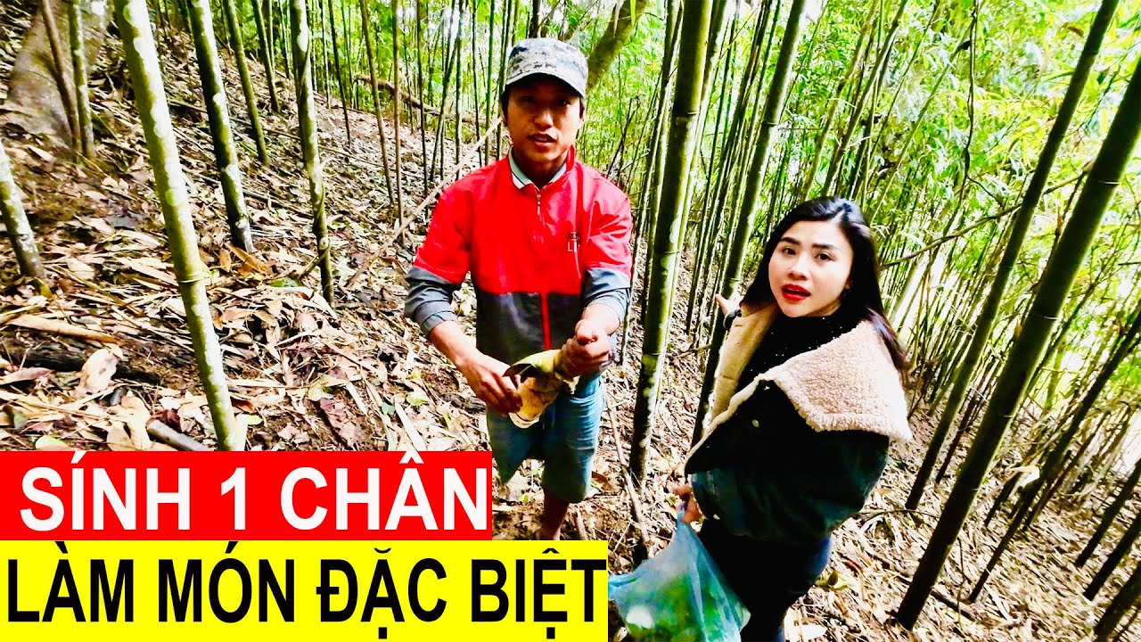 Sính 1 Chân Làm Món Đặc Biệt Tiếp Đón Nữ Phóng Viên Xinh Đẹp Tại Sơn Trang. Phuc Bang