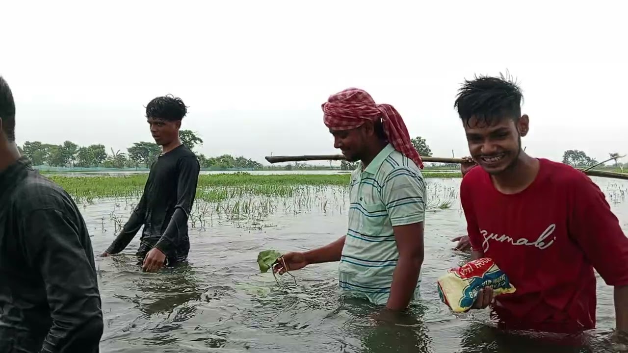 আমারা বন্ধুরা মেরি ঘুরতে গেছিলাম