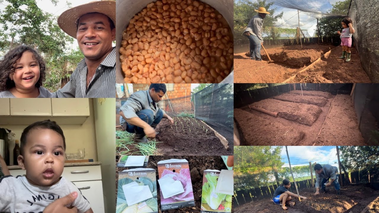 LEVANTANDO OS CANTEIROS E REPLANTANDO A HORTA 🧑🏽‍🌾🫑🥦🥬🥕🍅🙌🏽
