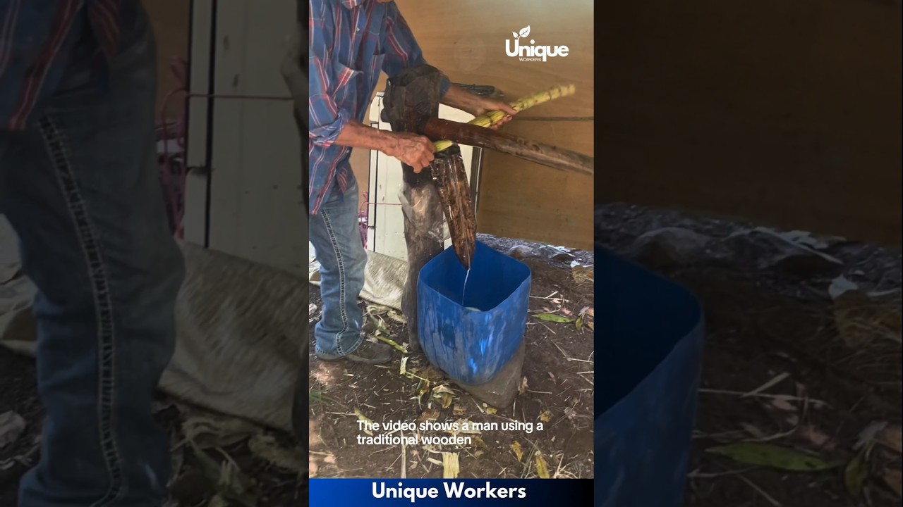 Traditional sugar cane juice pressing - The workers do their job perfectly || #machine #shorts
