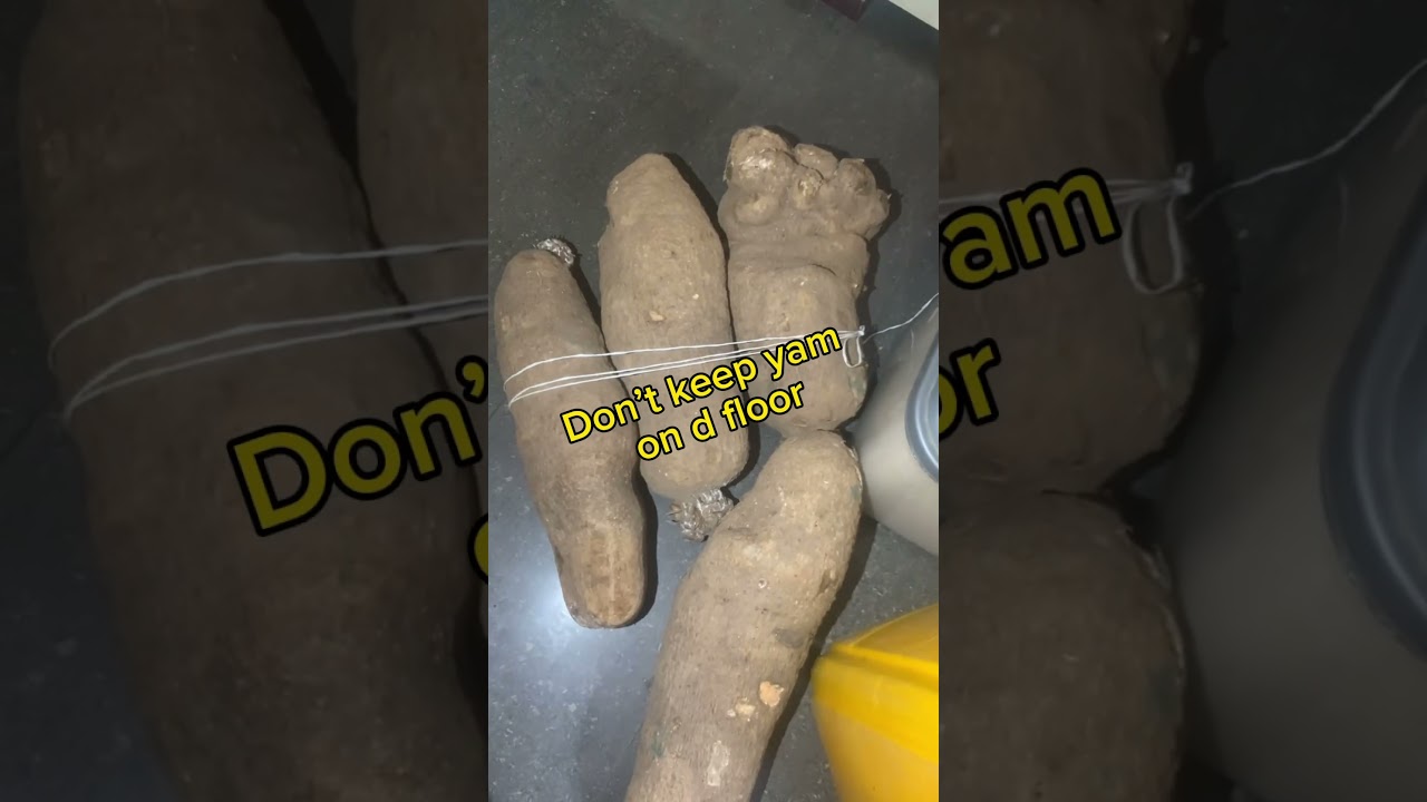 Don&rsquo;t do this to Yam. How to store yam for months #preserve #yam #store