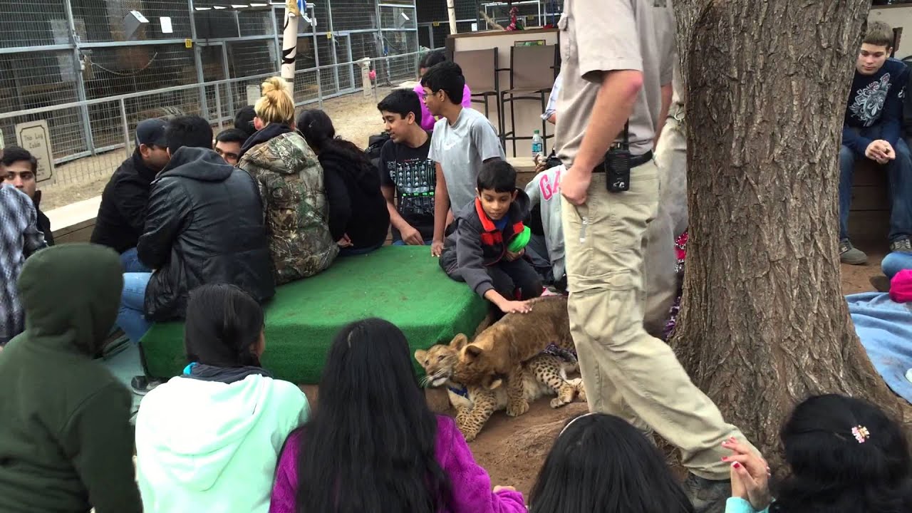 Bhavesh at Garold Wayne Interactive Zoological Park