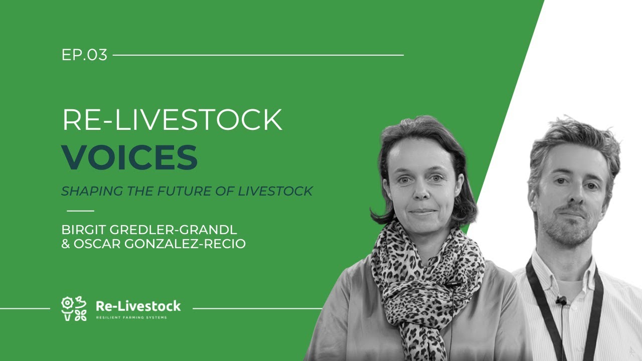 Re-Livestock Voices | Episode 3 – Wageningen University & Research and University of Edinburgh