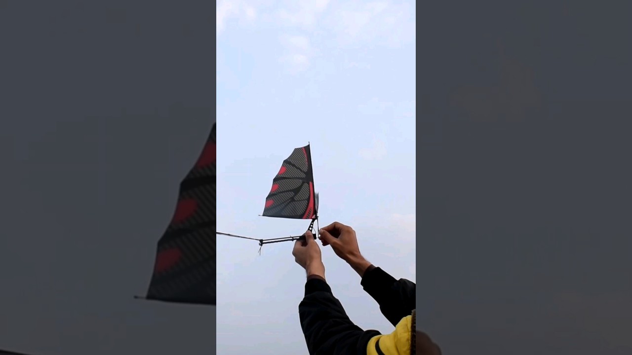 Rubber band powered flying bird 🕊