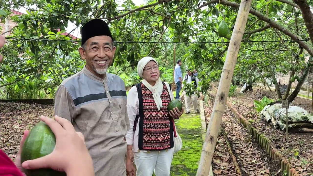 Kunjungan ke Kebun Alpukat Pak H. Erlan