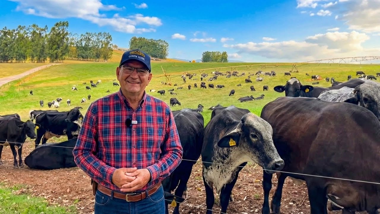 O PARAÍSO DAS VACAS LEITEIRAS EM MINAS GERAIS