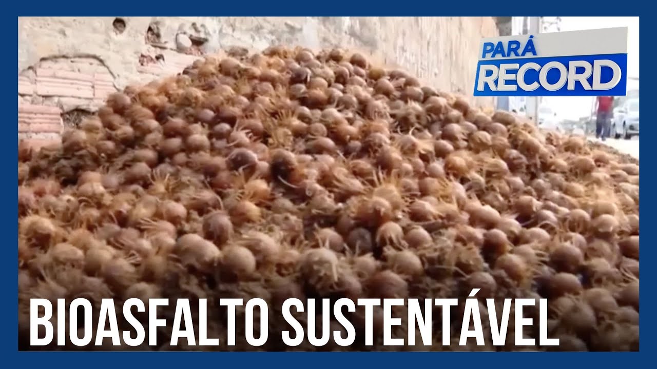Pesquisadores da UFPA criam bioasfalto sustentável a partir de caroço de açaí