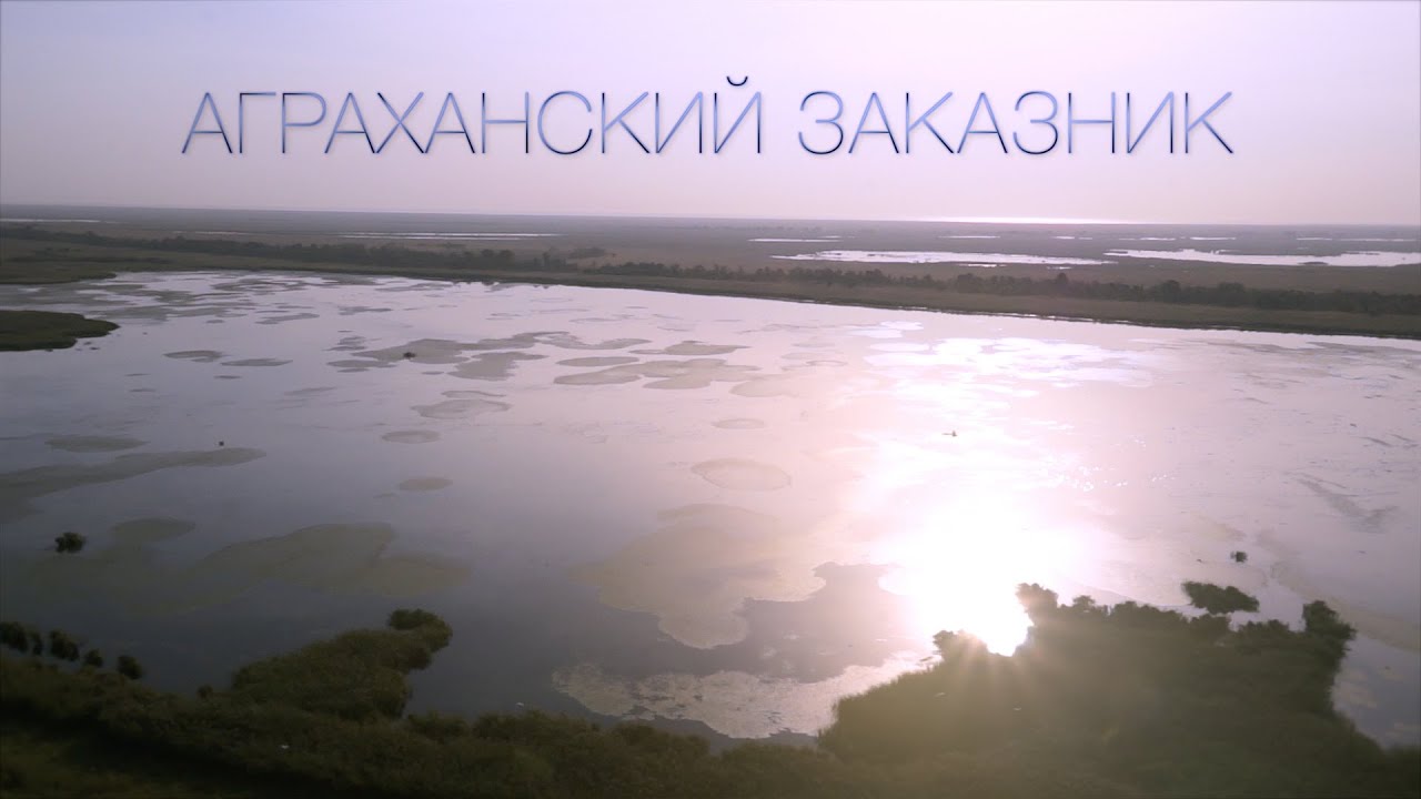 Аграханский заказник