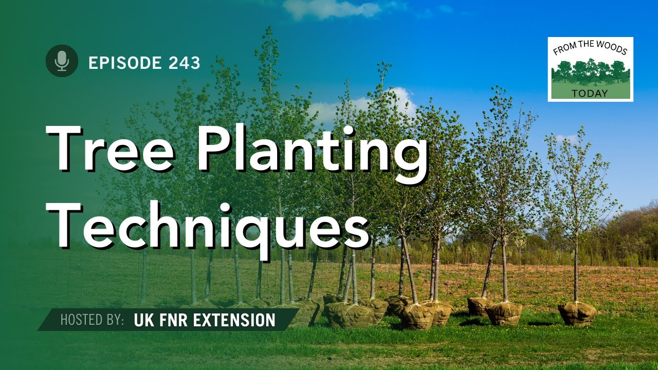 Tree Planting Techniques & Methods - From the Woods Today - Episode 243