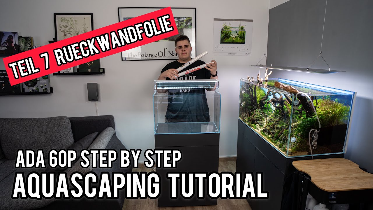 Rückwandfolie für ein 60P Aquascape Tutorial Teil 7 | Pachi aquarium