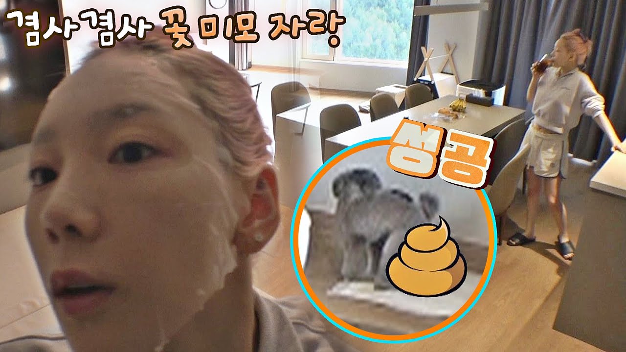 🌼꽃미모 발사🌼 제로와 함께여서 더욱 행복한 태연(TAEYEON)의 모닝 루틴😊 펫키지(petkage) 8회 | JTBC 211018 방송