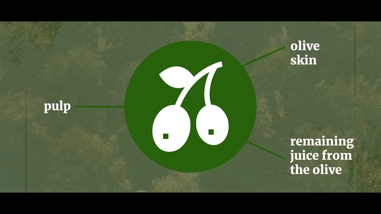 The production of olive oil: a sustainable practice
