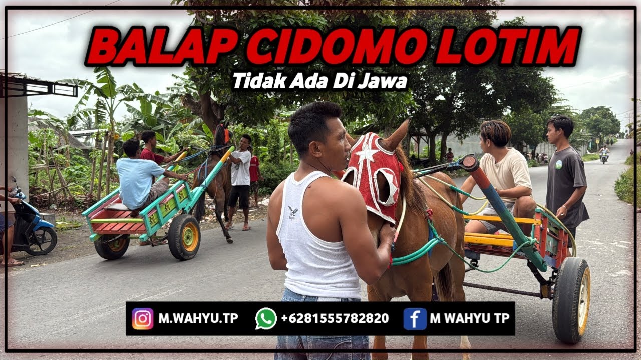 Balap Kuda Di Jalan!! Coboy Lombok NTB
