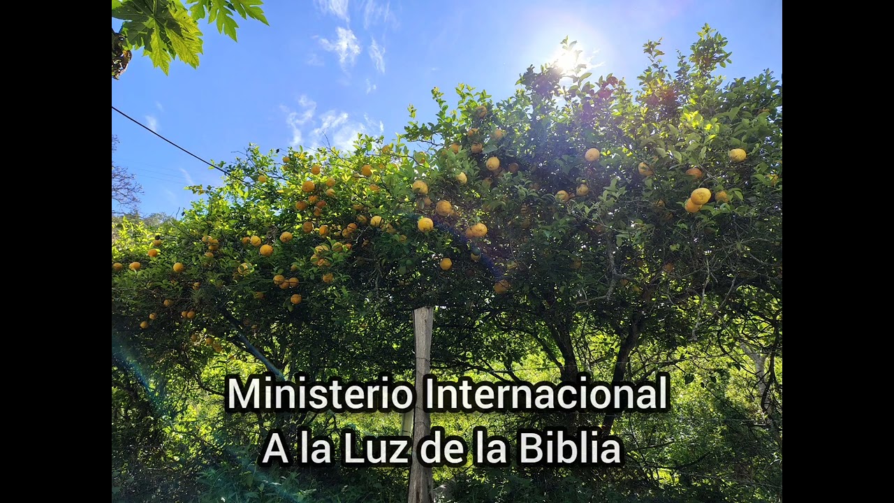 El comienzo de la obra del Espíritu Santo 