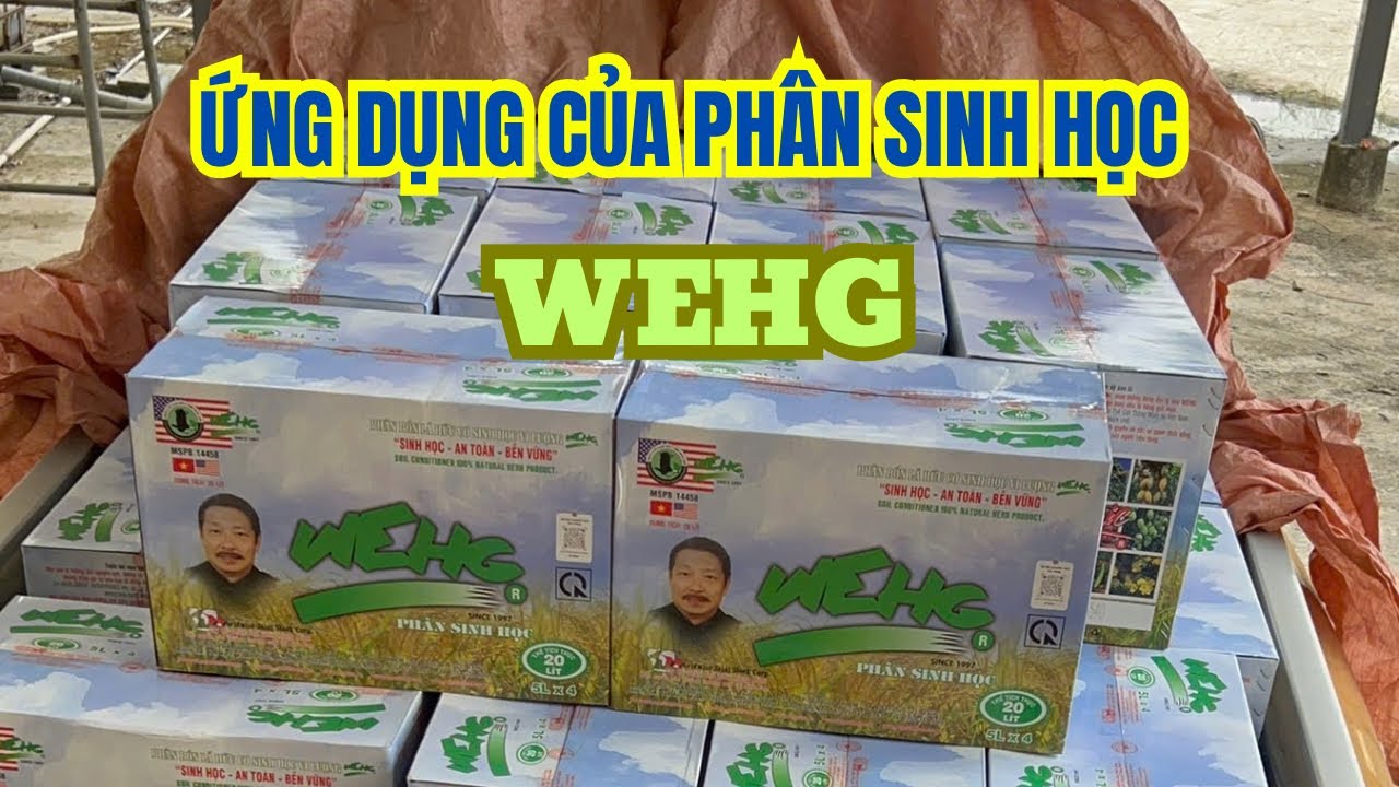 ƯU ĐIỂM CỦA PHÂN SINH HỌC WEHG