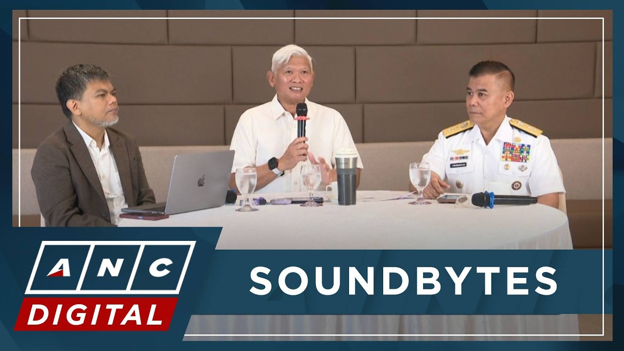 WATCH: OCTA data analyst, AFP spox Trinidad on impact of VP Sara impeachment trial | ANC