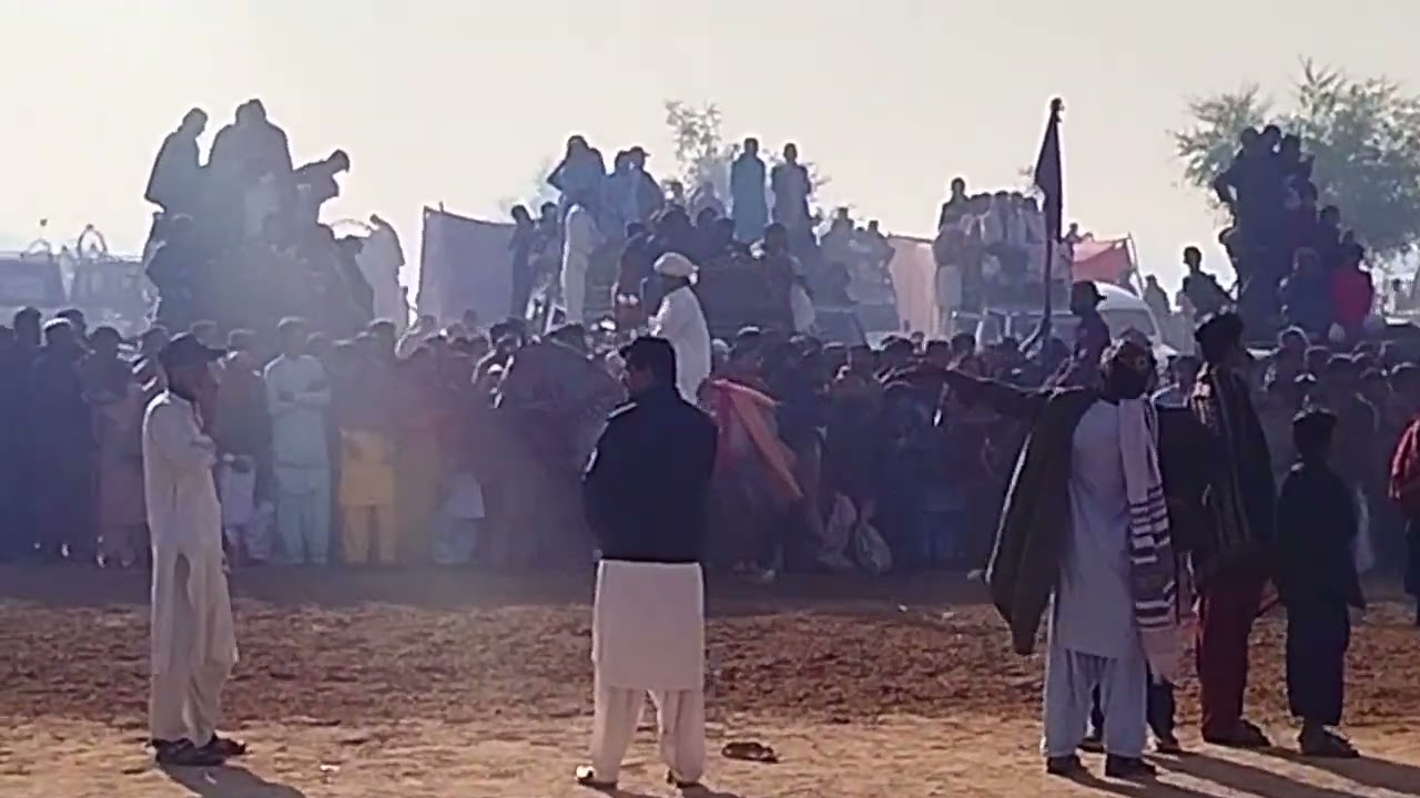 🐎 سباق الخيول الرائع في الصحراء#animals #viralvideo 