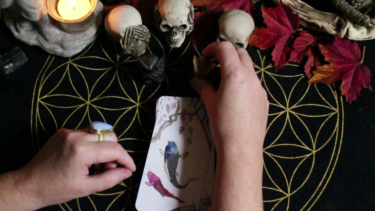L'oracle des Kami et Yokai