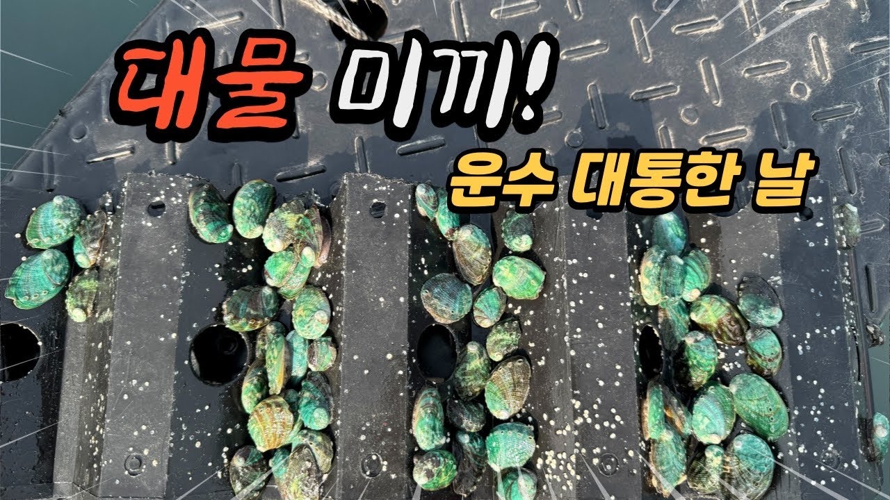 던졌다 하면 대물만 잡히는 특급 미끼!! 세상에 이게 말이된다고?!
