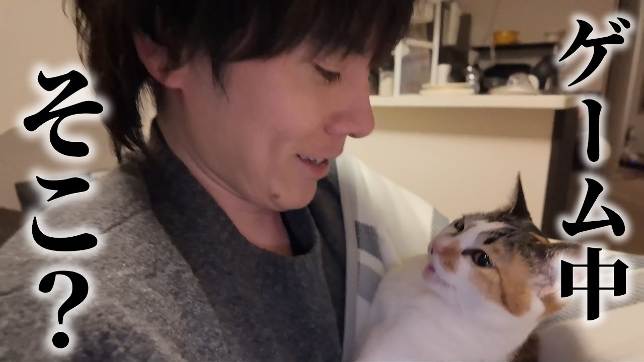 ネッコとの日々に満たされてたけど、やっぱ戦っていてぇんだ