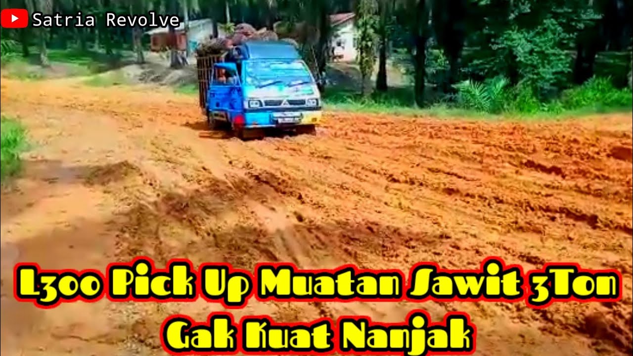 L300 Muatan Sawit 3Ton Gak Kuat Nanjak||2020