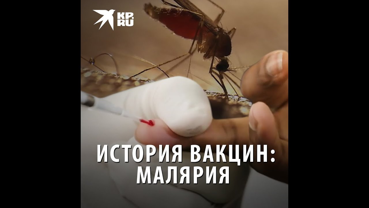 История вакцин: малярия