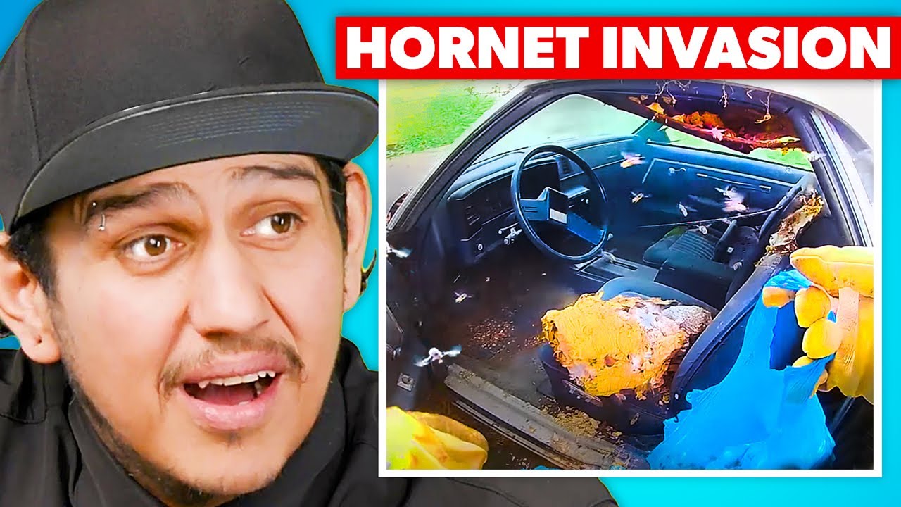 Mechanics React to Cars vs Animals