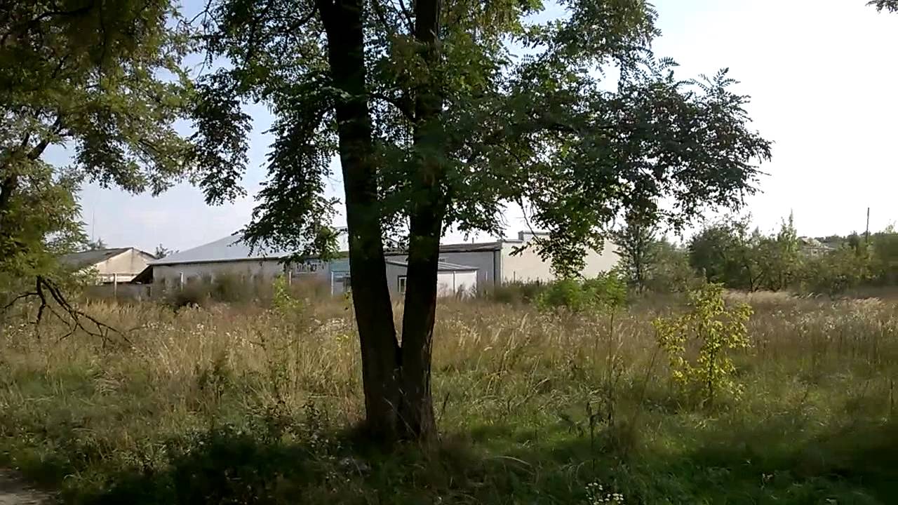 Реалії сучаної армії. м.Жовква